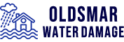 Water Damage Oldsmar, FL logo